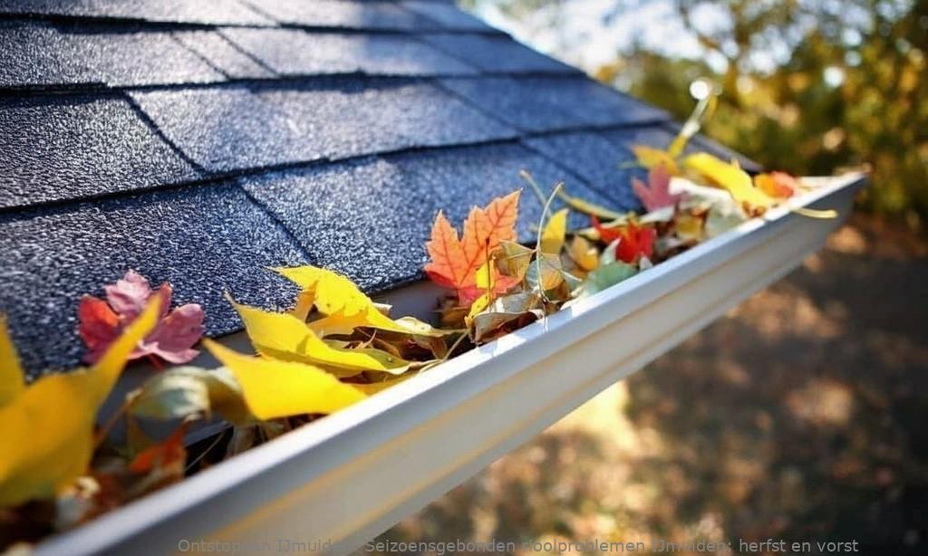 Seizoensgebonden rioolproblemen IJmuiden: herfst en winter